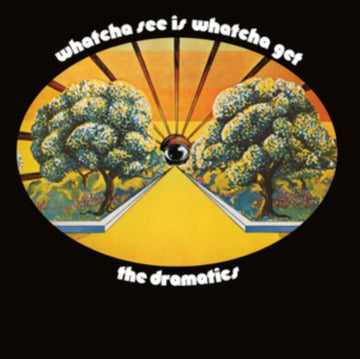 WHATCHA SEE IS WHATCHA GET | VINYL RECORD (LP)