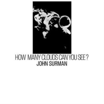 HOW MANY CLOUDS CAN YOU SEE? | VINYL RECORD (LP)