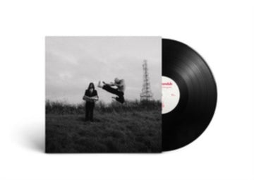 SHAKING HIPS & CRASHING CARS | VINYL RECORD (LP)