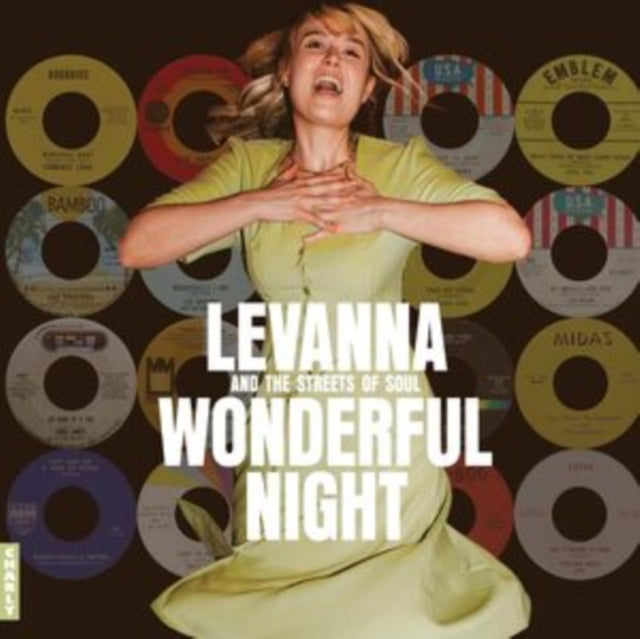 VARIOUS ARTISTS | WONDERFUL NIGHT | VINYL RECORD (LP)