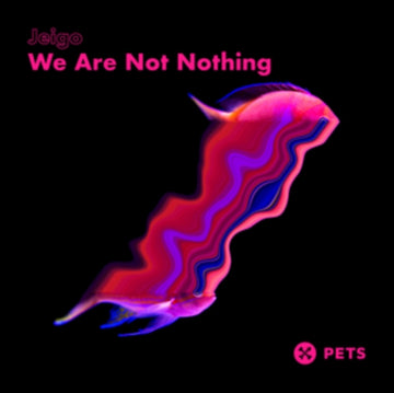 WE ARE NOT NOTHING | 12IN VINYL