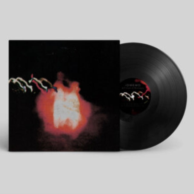 VARIOUS ARTISTS | IDMEMO: A FUTURE OF NOSTALGIA VOL. 2 (2LP) | VINYL RECORD (LP)