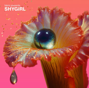 FABRIC PRESENTS SHYGIRL (YELLOW TRANSPARENT VINYL/2LP) | VINYL RECORD (LP)