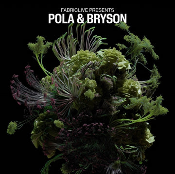 FABRICLIVE PRESENTS POLA & BRYSON (2LP) | VINYL RECORD (LP)
