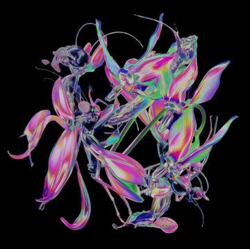 DRONE | 12IN VINYL