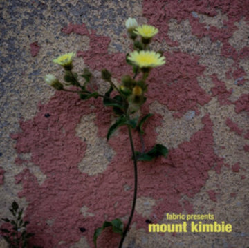 FABRIC PRESENTS MOUNT KIMBIE (2LP) | 12IN VINYL