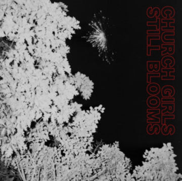 STILL BLOOMS | VINYL RECORD (LP)