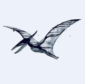 PTERODACTYL/PLESIOSAUR | VINYL RECORD (LP)