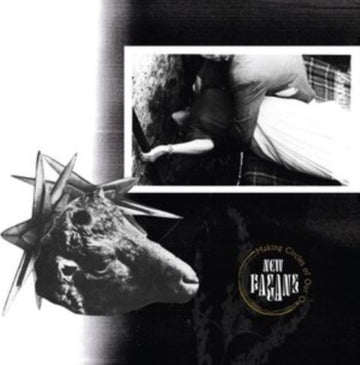 NEW PAGANS | MAKING CIRCLES OF OUR OWN | VINYL RECORD (LP)
