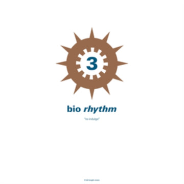 VARIOUS ARTISTS | BIO RHYTHM 3: RE-INDULGE (2LP) | VINYL RECORD (LP)