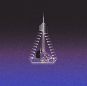 I SEE THE FUTURE (2LP) | VINYL RECORD (LP)