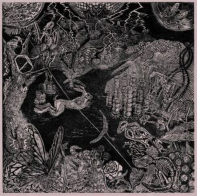 GENTLE STRANGER | UPON RETURN | VINYL RECORD (LP)