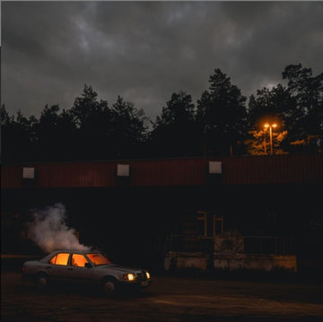LUNNG (180G/PRINTED PHOTO SLEEVE/PVC OUTER) | VINYL RECORD (LP)
