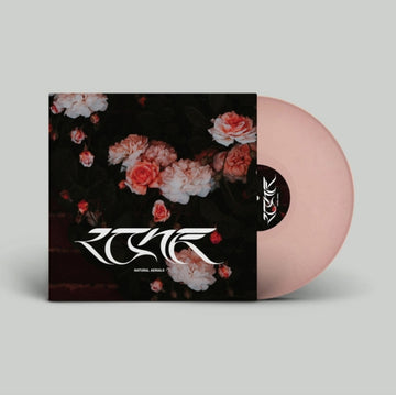 NATURAL AERIALS | 12IN VINYL