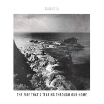 FIRE THATS TEARING THROUGH OUR HOME | VINYL RECORD (LP)