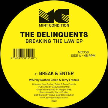 BREAKING THE LAW | 12IN VINYL