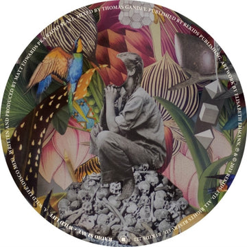 WILD LIFE | 12IN VINYL