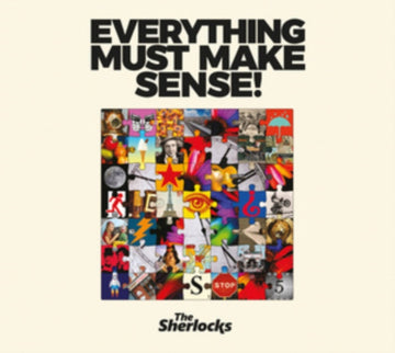 EVERYTHING MUST MAKE SENSE! | VINYL RECORD (LP)