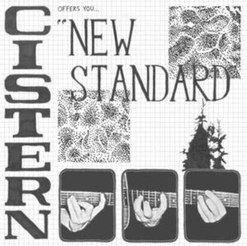 NEW STANDARD | VINYL RECORD (LP)