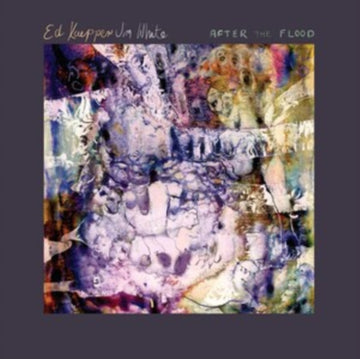 AFTER THE FLOOD | VINYL RECORD (LP)