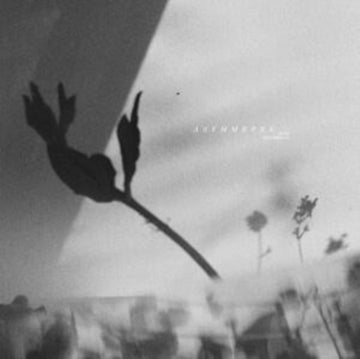 ASYMMETRY | VINYL RECORD (LP)