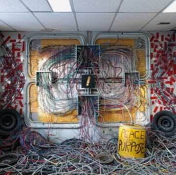 PEACE & PURPOSE (2LP) | VINYL RECORD (LP)
