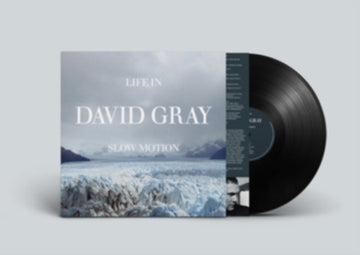 LIFE IN SLOW MOTION (20TH ANNIVERSARY EDITION) | VINYL RECORD (LP)
