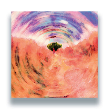 VAMONOS MUCHACHO | VINYL RECORD (LP)