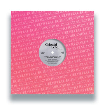 I FORGOT HOW TO LOVE YOU | 12IN VINYL