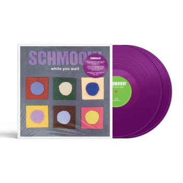 WHILE YOU WAIT (2LP) | VINYL RECORD (LP)