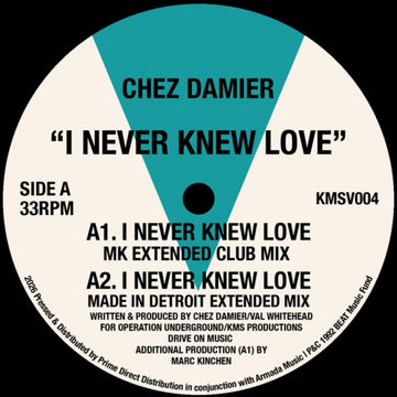 I NEVER KNEW LOVE | 12IN VINYL