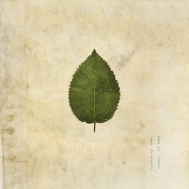 BOXER REBELLION | COLD STILL (ARMY GREEN VINYL) | VINYL RECORD (LP)