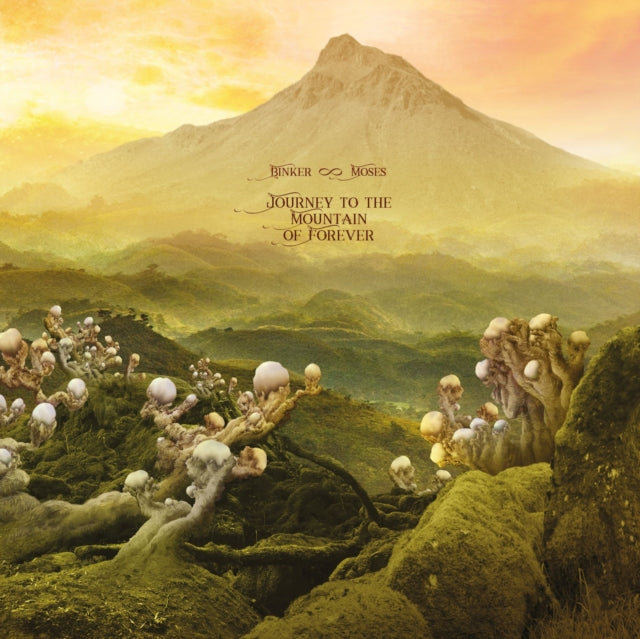 BINKER AND MOSES | JOURNEY TO THE MOUNTAIN OF FOREVER (2LP/GATEFOLD) | VINYL RECORD (LP)