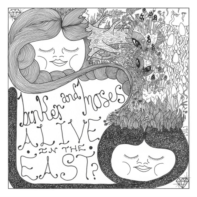 BINKER & MOSES | ALIVE IN THE EAST | VINYL RECORD (LP)