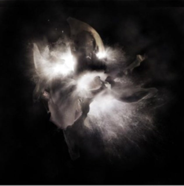 NEDRY | IN A DIM LIGHT | VINYL RECORD (LP)