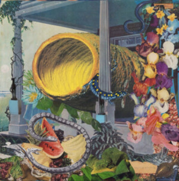 PRUNING | VINYL RECORD (LP)