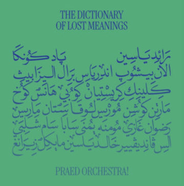 DICTIONARY OF LOST MEANINGS (2LP) | VINYL RECORD (LP)