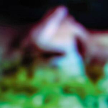 DISC ROT | VINYL RECORD (LP)