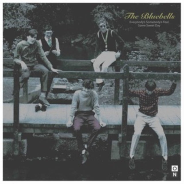 BLUEBELLS | EVERYBODY'S SOMEBODY'S FOOL | 7IN VINYL