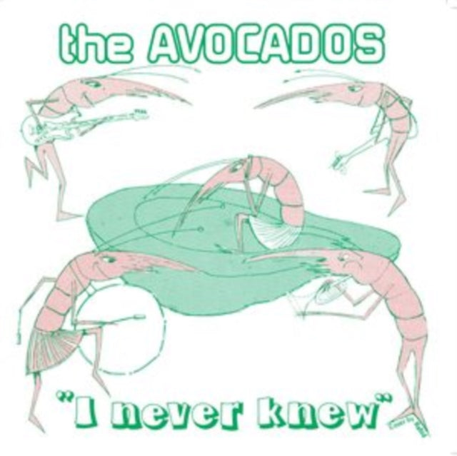 AVOCADOS | I NEVER KNEW | 7IN VINYL
