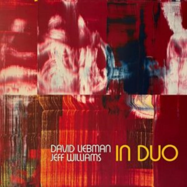 LIEBMAN, DAVE & JEFF WILLIAMS | IN DUO | VINYL RECORD (LP)