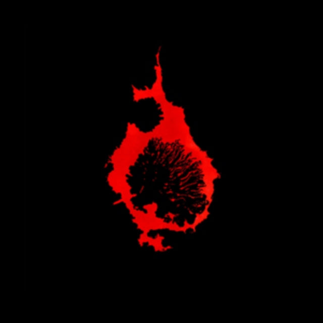 C. DIAB | EXIT RUMINATION | VINYL RECORD (LP)