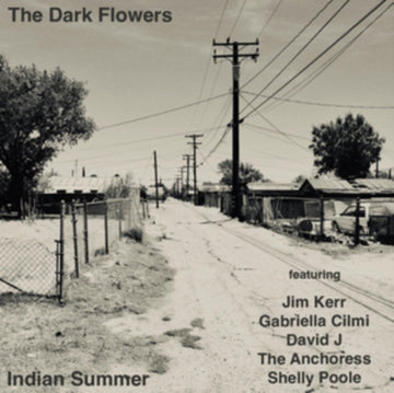 INDIAN SUMMER | VINYL RECORD (LP)