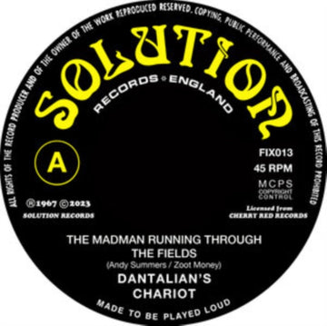 MADMAN RUNNING THROUGH FIELDS | 7IN VINYL
