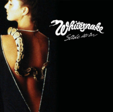 SLIDE IT IN | VINYL RECORD (LP)