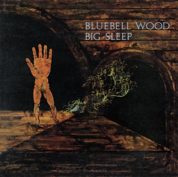 BIG SLEEP | BLUEBELL WOOD | VINYL RECORD (LP)