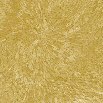 PJEV / KIT DOWNES / HAYDEN CHISHOLM | MEDNA ROSO | VINYL RECORD (LP)