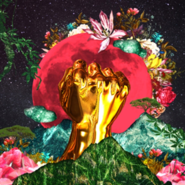 MUSHONGA, RINA | IN A GALAXY | VINYL RECORD (LP)