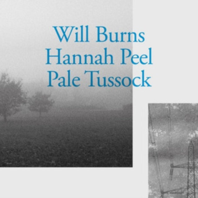 UNKNOWN | PALE TUSSOCK | VINYL RECORD (LP)
