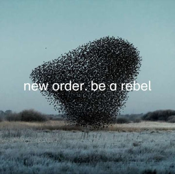 UNKNOWN | BE A REBEL | VINYL RECORD (LP)